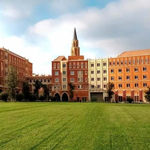 Meet your Posher, Anna - Picture 1 of 1